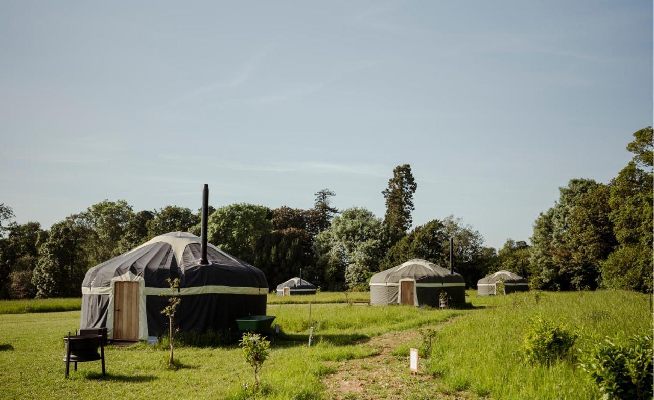 Wild Meadow, Lodge Farm, East Raynham Fakenham Ngoại thất bức ảnh